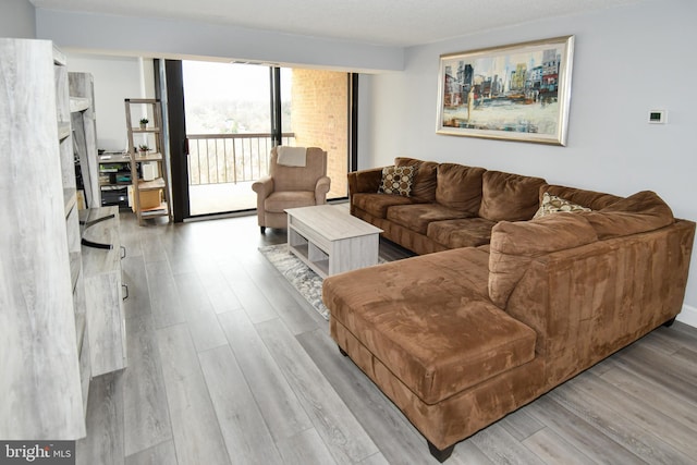 living room featuring light wood-type flooring