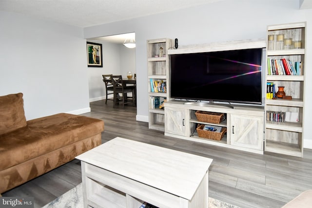 living room with hardwood / wood-style flooring