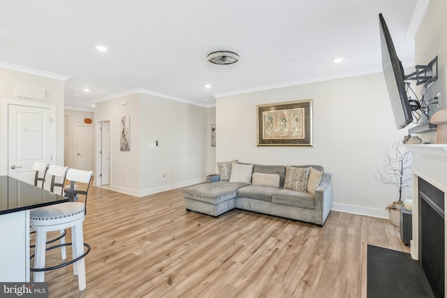 living room with ornamental molding and light hardwood / wood-style flooring