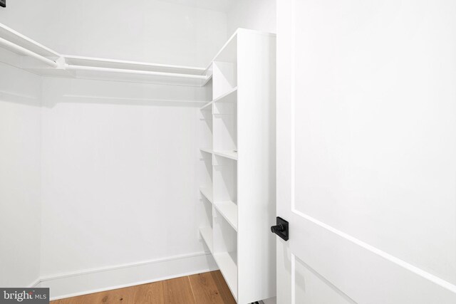 spacious closet with wood-type flooring