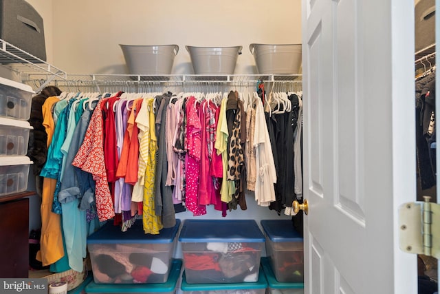 view of spacious closet