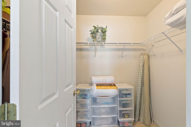 view of spacious closet