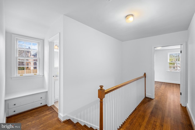 hall featuring dark wood-type flooring