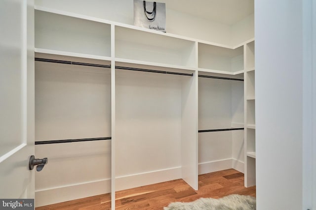 walk in closet featuring hardwood / wood-style flooring