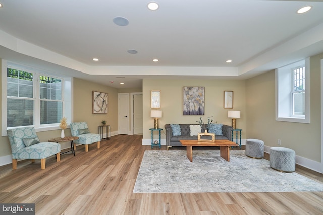 living room with light hardwood / wood-style floors and a raised ceiling