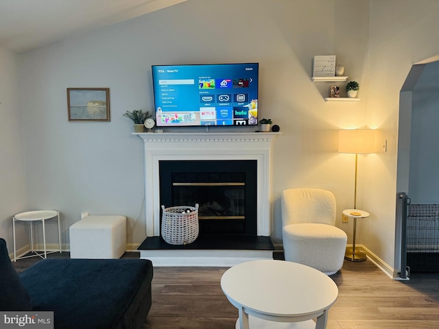 living room with wood-type flooring and vaulted ceiling