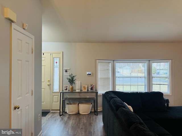 living room with wood-type flooring