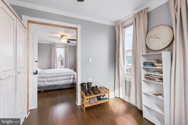 bedroom with dark wood-type flooring, ceiling fan, and ornamental molding