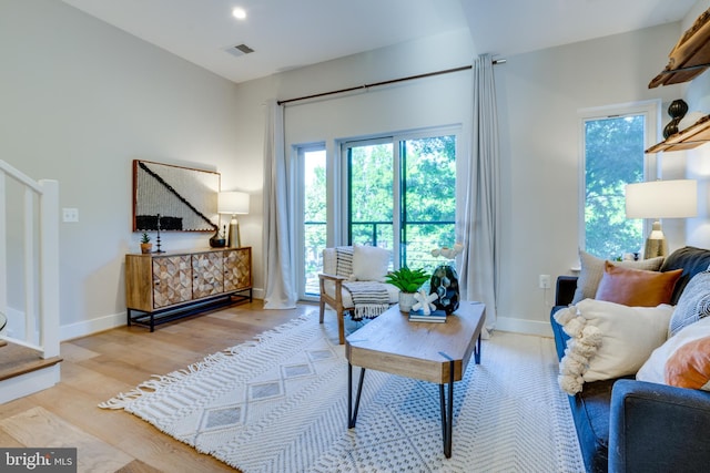 living room featuring wood-type flooring