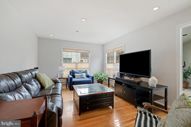 living room with light hardwood / wood-style flooring