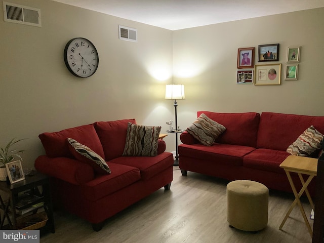 living room featuring wood-type flooring