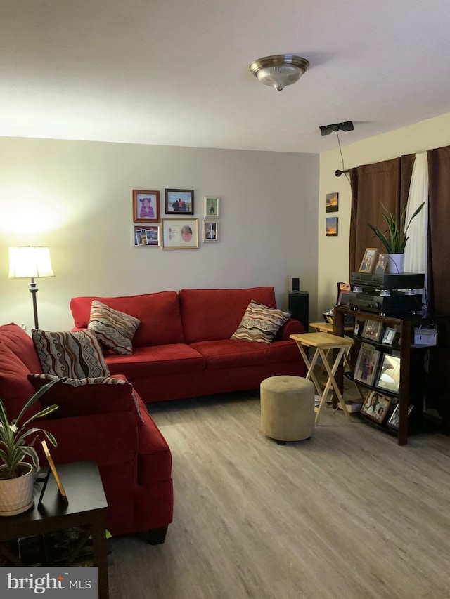 living room featuring wood-type flooring