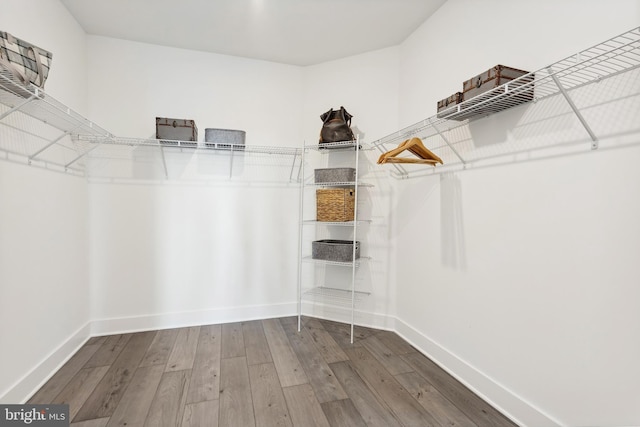 spacious closet with wood-type flooring