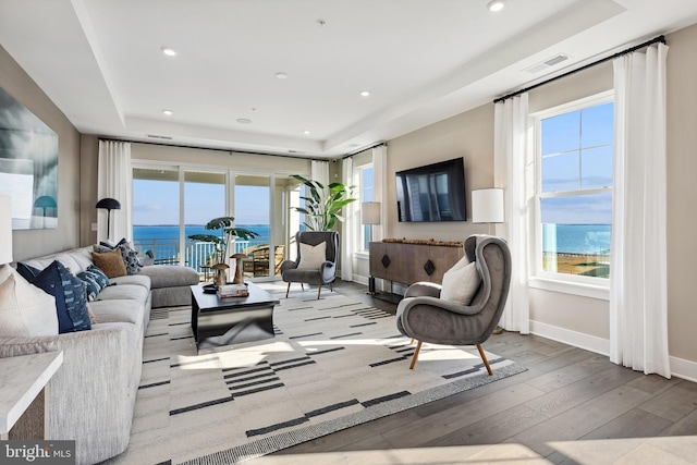 living room featuring plenty of natural light, light hardwood / wood-style floors, and a raised ceiling