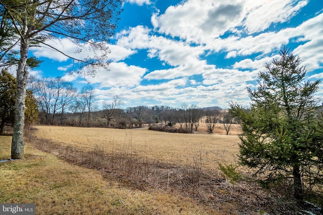 view of local wilderness featuring a rural view