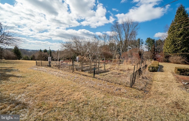 view of yard with a rural view