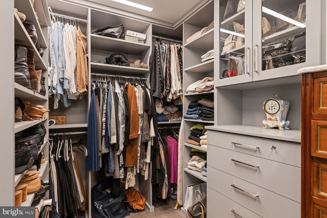 view of spacious closet