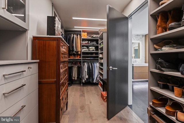 walk in closet with light hardwood / wood-style floors