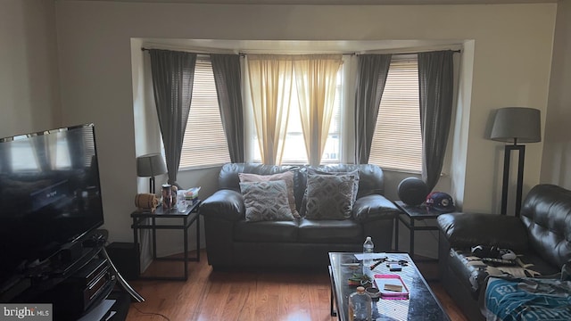 living room featuring hardwood / wood-style flooring