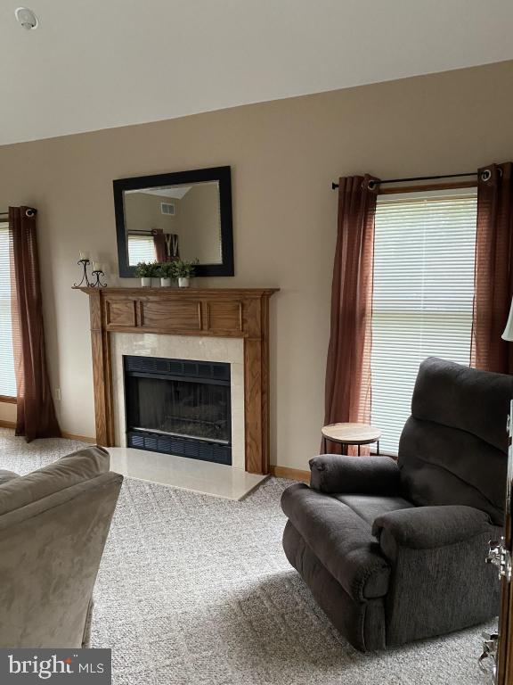 living room featuring carpet flooring and a premium fireplace