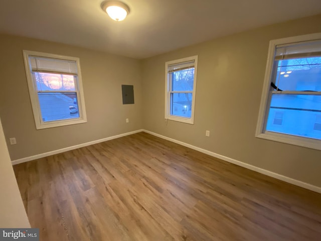 unfurnished room with wood-type flooring and electric panel