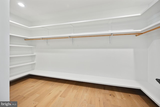 walk in closet featuring wood finished floors