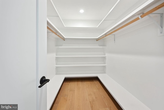 spacious closet featuring wood finished floors