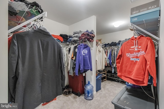 walk in closet with carpet flooring