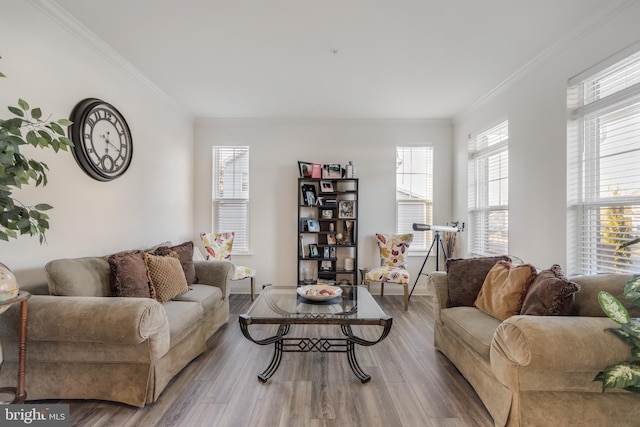 living area featuring crown molding and wood finished floors