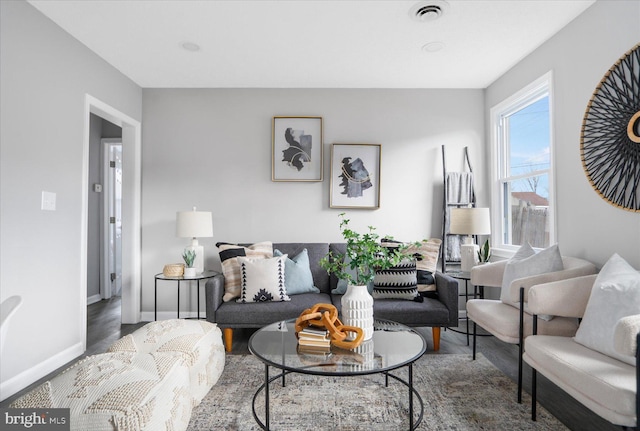 living room with wood-type flooring