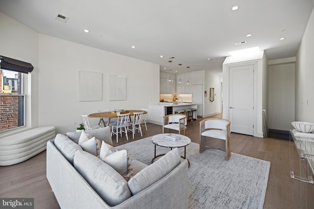 living room with sink and wood-type flooring