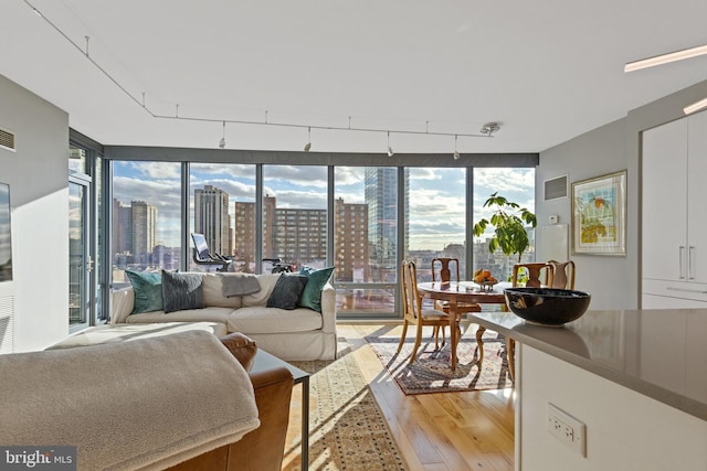 living room featuring plenty of natural light, light wood-style flooring, a view of city, and floor to ceiling windows