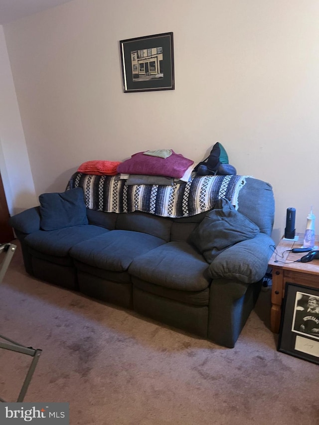 living room with carpet floors