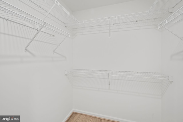 spacious closet with hardwood / wood-style floors