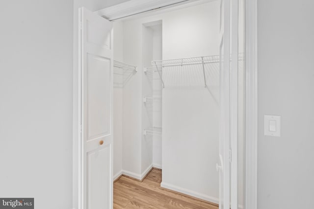 spacious closet with light wood-type flooring