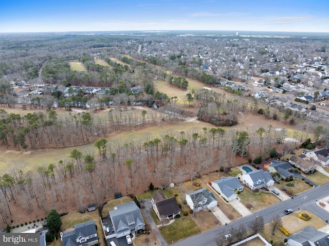 bird's eye view