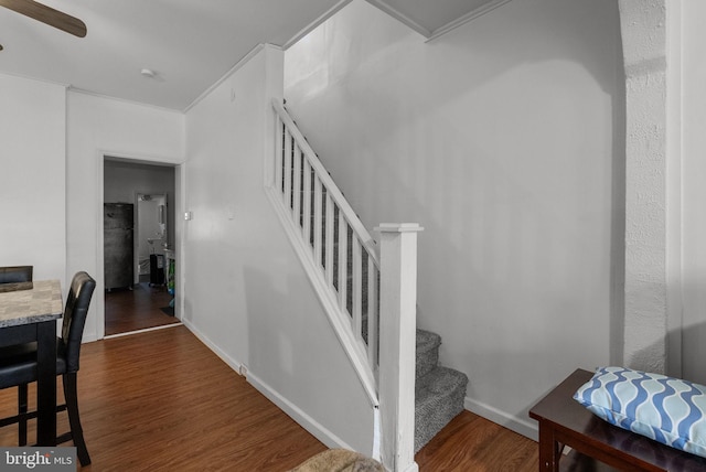 stairway featuring hardwood / wood-style flooring