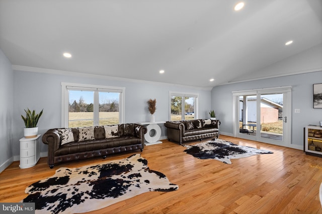 living room featuring a healthy amount of sunlight and light hardwood / wood-style floors