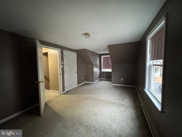 additional living space featuring light colored carpet and lofted ceiling