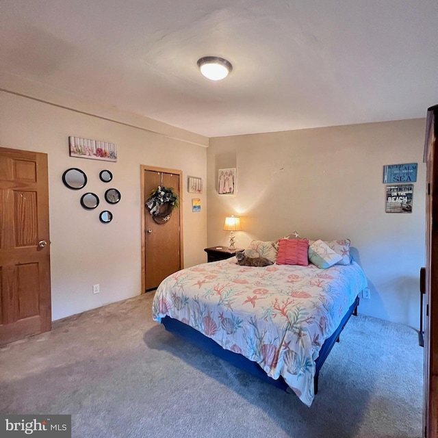 bedroom with carpet floors