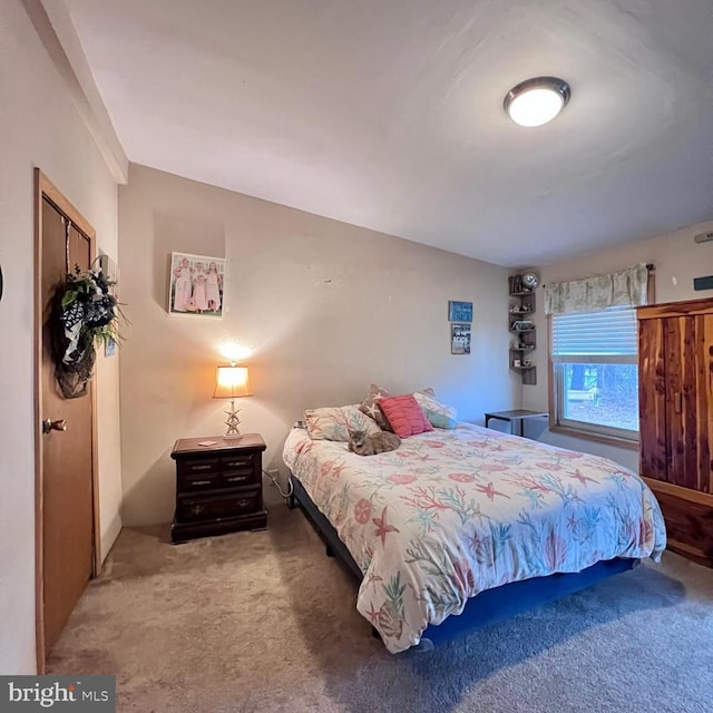 bedroom featuring carpet