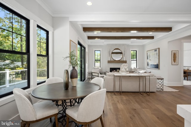 dining room featuring beam ceiling, hardwood / wood-style flooring, a fireplace, and ornamental molding