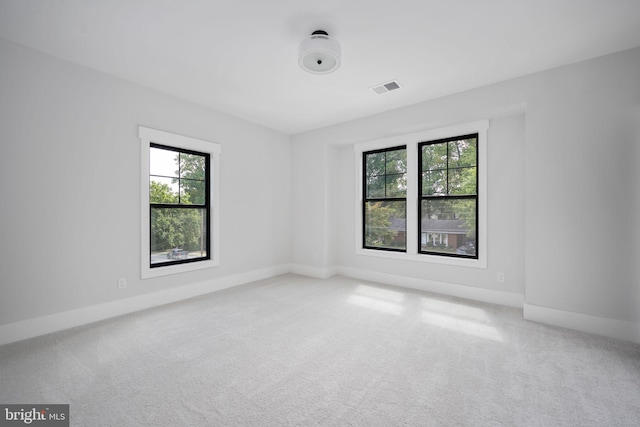 empty room featuring carpet floors and a wealth of natural light