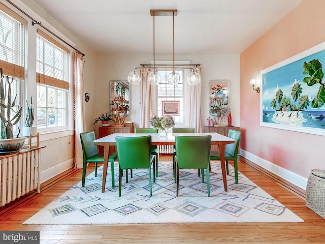 dining space featuring hardwood / wood-style floors