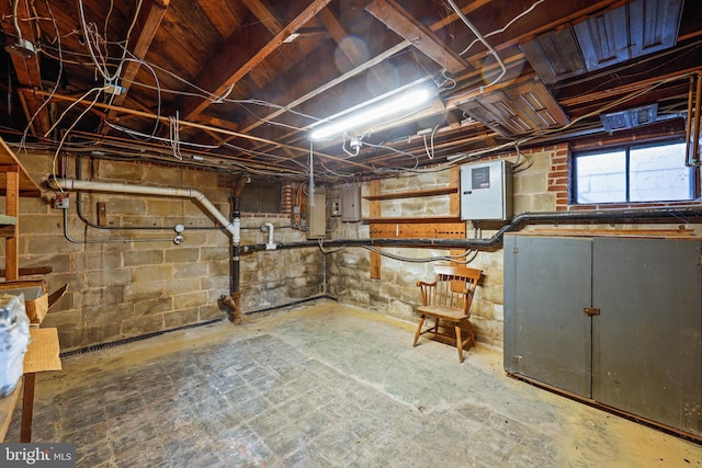 basement with electric panel