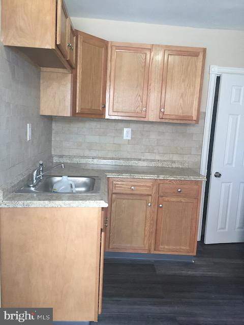 kitchen featuring dark hardwood / wood-style flooring, sink, and backsplash