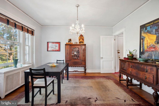 dining room featuring dark wood-type flooring, ornamental molding, radiator, and a chandelier