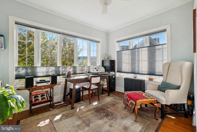 office area featuring crown molding, ceiling fan, wood-type flooring, and radiator