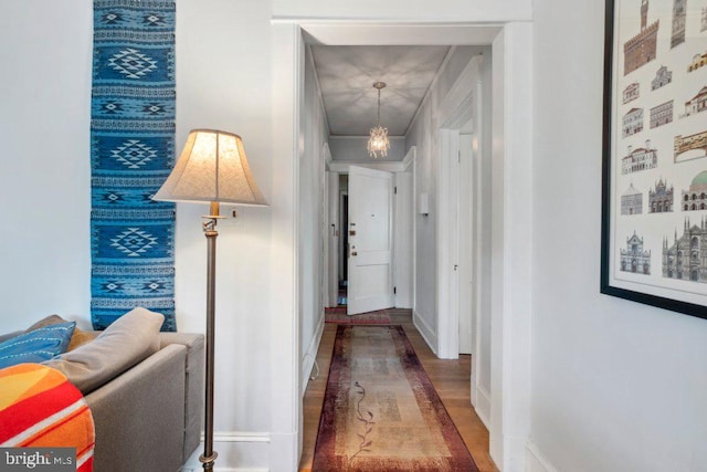 hall featuring wood-type flooring