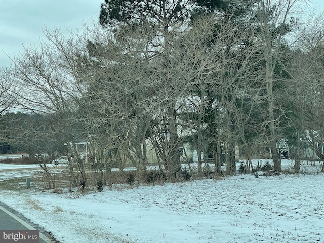 view of yard covered in snow